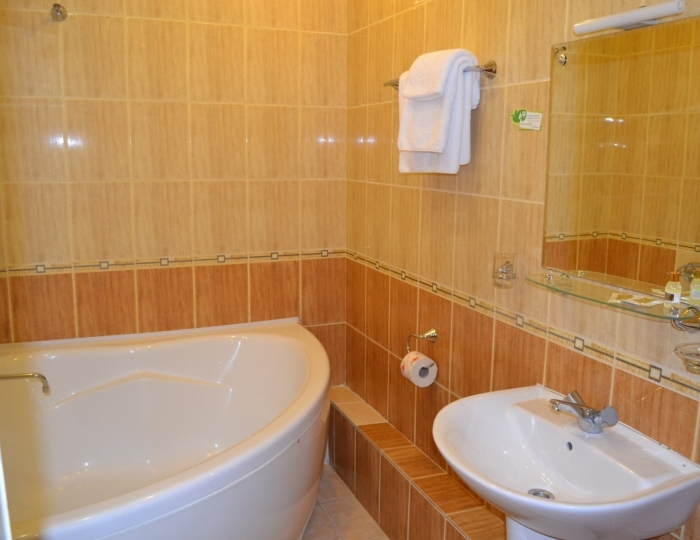 Комфорт 1-местный (корпус 1, 2) - Санаторий «Самоцвет» Алапаевск