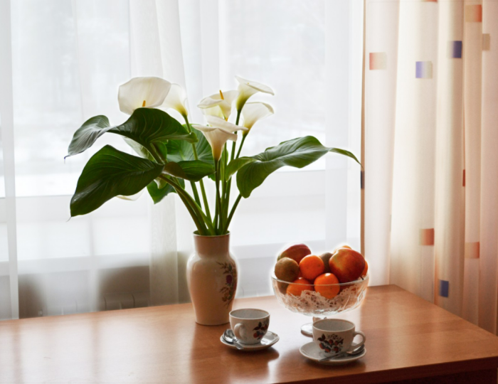 Стандарт 1-местный (корпус 1-3) - Санаторий «Самоцвет» Алапаевск